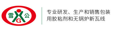 安徽雪公新材料集團有限責任公司